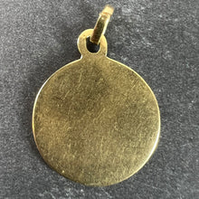 Load image into Gallery viewer, Vintage Pisces Starsign Zodiac 18K Yellow Gold Enamel Charm Medal Pendant
