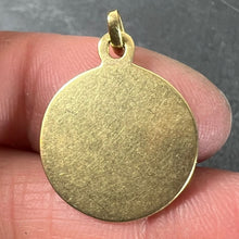 Load image into Gallery viewer, Vintage Pisces Starsign Zodiac 18K Yellow Gold Enamel Charm Medal Pendant
