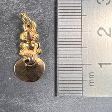 Load image into Gallery viewer, Yellow Gold Plated Inca Frog Drop Charm Pendant
