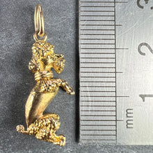 Load image into Gallery viewer, 18K Yellow Gold Poodle Dog Charm Pendant
