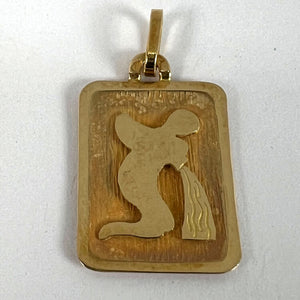 French Aquarius Starsign Zodiac 18K Yellow Gold Charm Medal Pendant