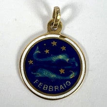 Load image into Gallery viewer, Vintage Pisces Starsign Zodiac 18K Yellow Gold Enamel Charm Medal Pendant
