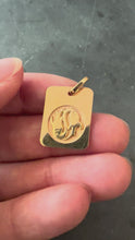 Load and play video in Gallery viewer, French Pisces Starsign Zodiac 18K Yellow Gold Charm Medal Pendant
