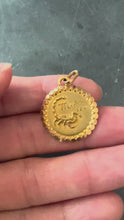 Load and play video in Gallery viewer, French Perroud Large Scorpio Zodiac Starsign 18K Yellow Gold Charm Pendant

