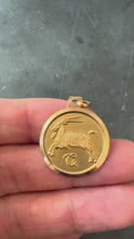 Load and play video in Gallery viewer, French 18K Yellow Gold Zodiac Capricorn Charm Pendant
