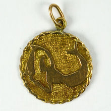 Load image into Gallery viewer, 18 Karat Yellow Gold Zodiac Aquarius Charm Pendant
