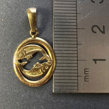 Load image into Gallery viewer, French Pisces Zodiac 18K Yellow Gold Charm Pendant
