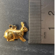 Load image into Gallery viewer, Lucky Rabbit 9K Yellow Gold Charm Pendant
