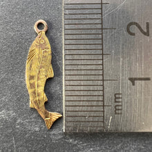 Load image into Gallery viewer, Salmon 9K Yellow Gold Charm Pendant
