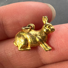 Load image into Gallery viewer, Lucky Rabbit 9K Yellow Gold Charm Pendant

