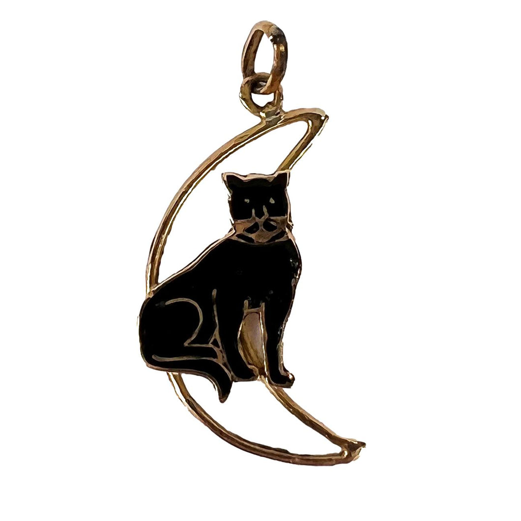 1pc Simple & Fashionable Oil Painting Lucky Cat Design Black String Necklace  For Women
