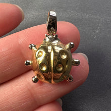 Load image into Gallery viewer, Ladybird 18K Yellow White Gold Charm Pendant
