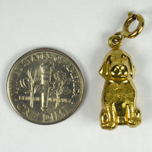 Load image into Gallery viewer, 9K Yellow Gold Dog Charm Pendant

