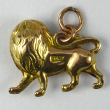 Load image into Gallery viewer, 9K Yellow Gold Lion Charm Pendant
